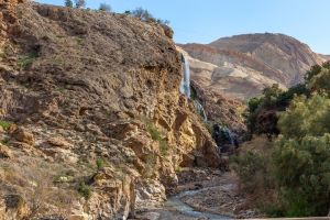 Private Half-Day Ma'in Waterfalls and Hot Springs Tour from Amman
