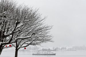  Small-Group Christmas Day Trip to Hallstatt from Vienna
