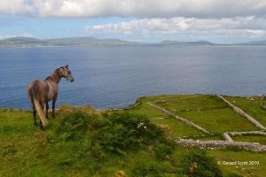 Luxury Photography Day Tour on Dingle Peninsula - Fully Guided and Chauffeured