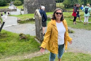 Wicklow and Glendalough Private Chauffeured Sightseeing Tour