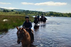 Wicklow Mountains Horse Trekking