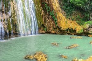 Whale Watching & Limón Waterfall Day Trip