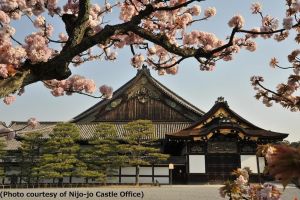 Kyoto and Nara Day Trip - Golden Pavilion and Todaiji from Osaka
