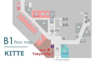 Tokyo to Osaka Shinkansen Trip with Metro 1 Day Pass