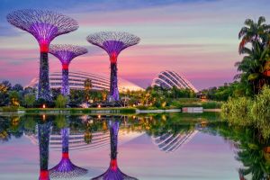 Gardens by the Bay Singapore Tickets