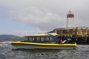 Hobart Sightseeing Cruise with Iron Pot Lighthouse