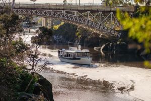 Cataract Gorge Cruise in Launceston