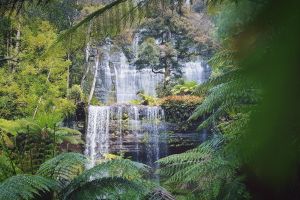 Ultimate 10-Day Tasmania Guided Tour