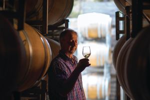 One-Way East Coaster Tour