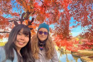 Morning Wonder World Heritage Nara Guided Tour