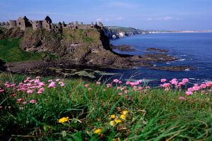 Belfast, Dunluce Castle & Giant's Causeway Day Tour from Dublin (with Black Taxi or Titanic Experience)