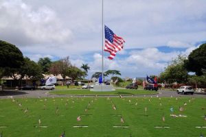 Pearl Harbor Full-Day Tour