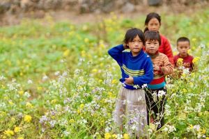 Ha Giang 3-Day Jeep Adventure