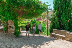 Douro Valley Wine Tour with Lunch and Cruise