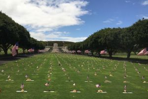 Pearl Harbor & Honolulu City Tour