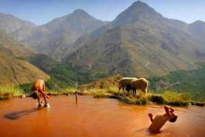 Atlas Mountains 2-Day Trekking Adventure