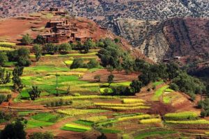 Atlas Mountains Camel Ride & Waterfalls Tour