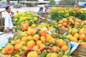 Mekong Delta Floating Market 2-Day Tour