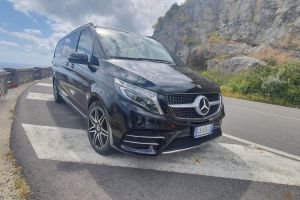 Private Naples Airport to City Transfer