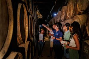 Private Arrábida Day Trip with Wine Tasting