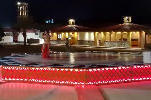 Dubai Red Dune Safari Adventure