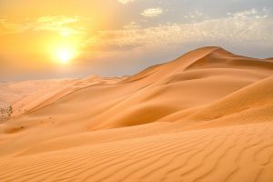 Dubai Desert Adventure: BBQ, Camel Ride & Live Shows