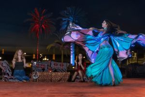 Private Evening Desert Safari with BBQ Dinner from Fujairah