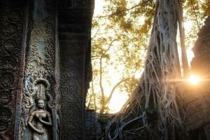  Sunrise Angkor Wat Half-Day & 3 Main Temples (Join-in Tour)