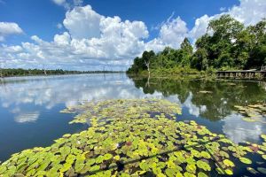 Banteay Srei Full-Day Temple Tour