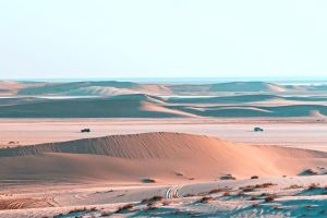 Thrilling 4-Hour Dune Bashing & Camel Ride Safari to Inland Sea