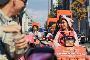 Osaka Street Go-Kart Adventure