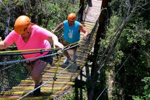 Private Coba & Jungle Adventure: Zipline, Rappel & Cenote