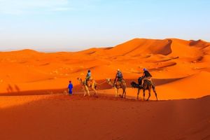 5-Day Moroccan Sahara Adventure