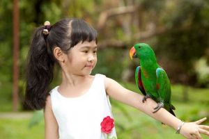 Bali Bird Park Admission with Transfer