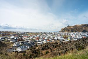 Vestmannaeyjar Puffins Volcanoes Tour