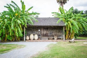 Whitney Plantation Tour with Transportation
