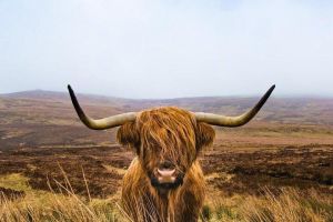 2-Day Oban & West Highlands Tour