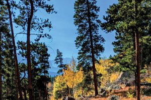 Rocky Mountain National Park Private Hiking Tour