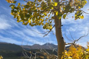 Rocky Mountain National Park Hiking Adventure