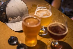 Private Brews n' Views Tour in Denver