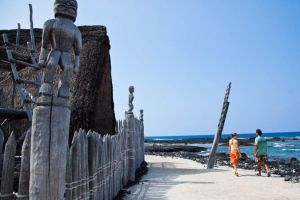 Kona Coffee & Historical Parks Tour