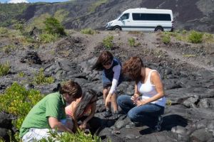 Big Island Twilight Volcano & Stargazing Tour