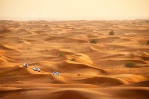 Qatar Dune Buggy Private Experience