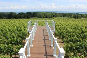 Traverse City Winery & Brewery Tour