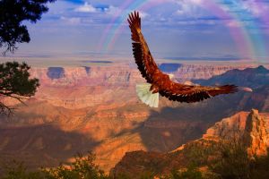 Grand Canyon Adventure with Local Experts