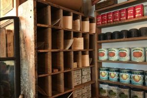Oldest Store Museum Experience in St. Augustine