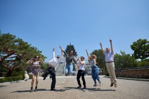 Seoul Royal Palace & Bukchon Village Tour