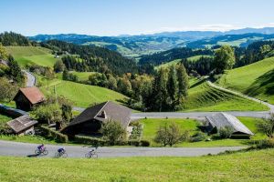 Bern Day Trip with Emmental Dairy Visit