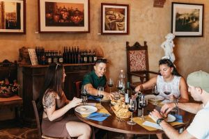 Chianti Wine Tour with Lunch