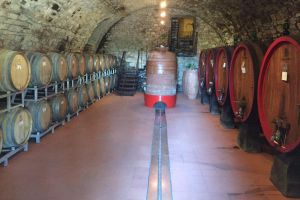 Siena & Chianti Wine Tour from Florence